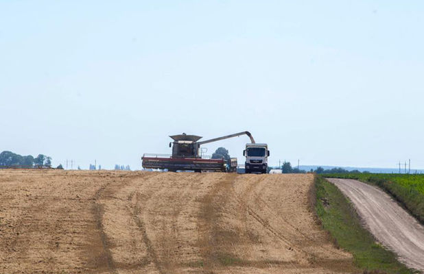 Новини компаній: «Агропродсервіс» зібрав більше половини озимої пшениці