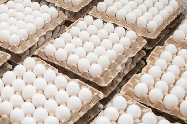 Україна у січні-липні експортувала яйця на $47,6 млн