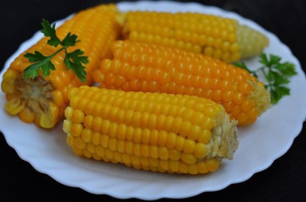 Спрос на украинскую кукурузу падает, на американскую — растет