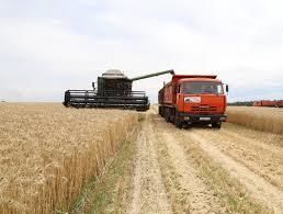 Украина. В семи регионах завершилась уборка ранних зерновых