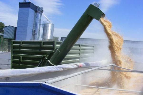 Морпорты снизили экспорт зерновых на 45%