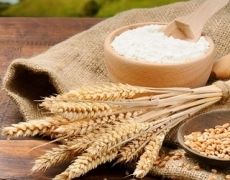 Експортні ціни на пшеничне борошно зросли на 20%