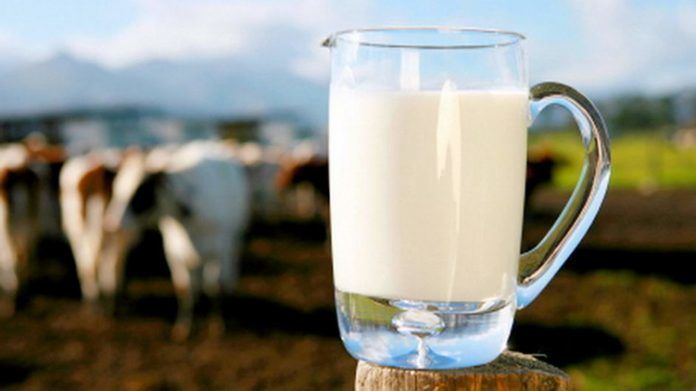 Українці все більше відмовляються від молочних продуктів промислового виробництва