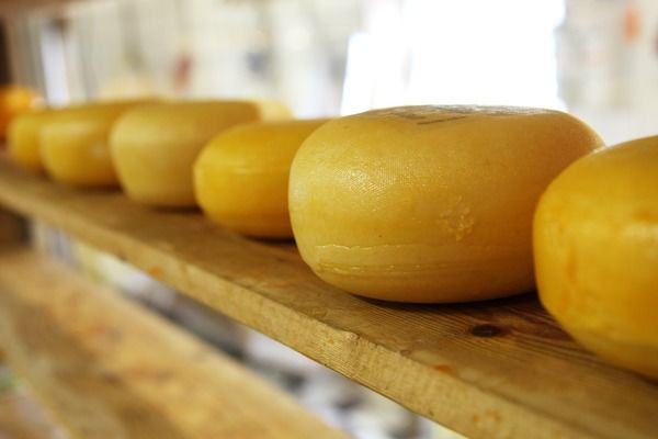 Справжній сир витісняє з ринку сирні продукти