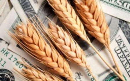 Котировки пшеницы на мировых площадках снизились под давлением российского фактора