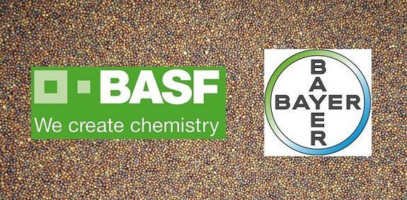 BASF завершив процес купівлі активів Bayer