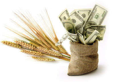 Півмільйона на фермера: бюджетна програма кредитування фермерства