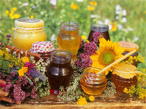 Експорт українського меду зріс на 35,8%