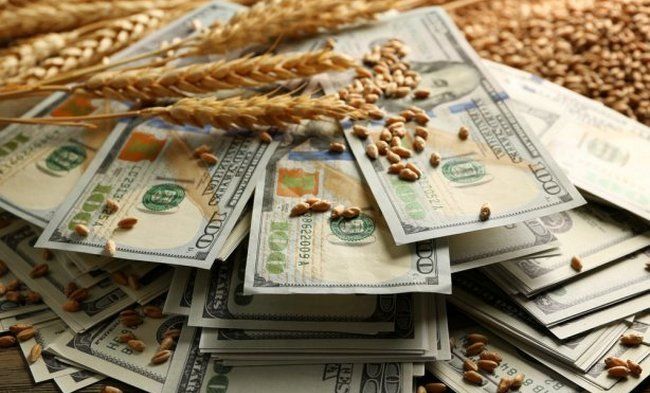 Інвестиції в аграрний сектор України за перше півріччя зросли на 10%