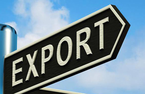 Названы продукты, экспорт которых из Украины растет больше всего