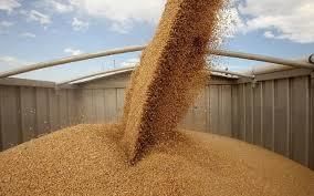 Экспорт зерновых снизился на 694 тыс. т