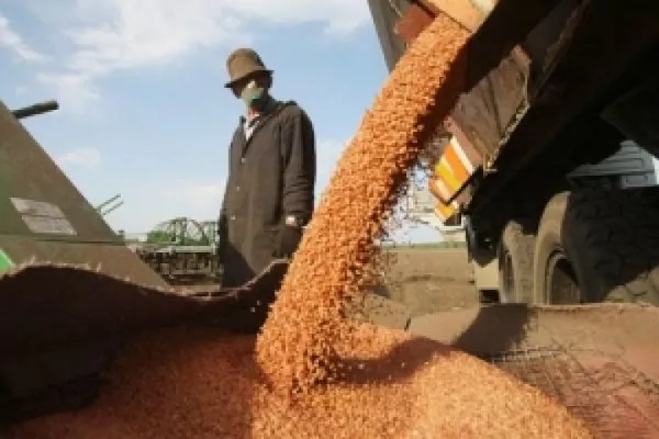 Из-за слухов об ограничении экспорта пшеницы из России на биржах выросли цены