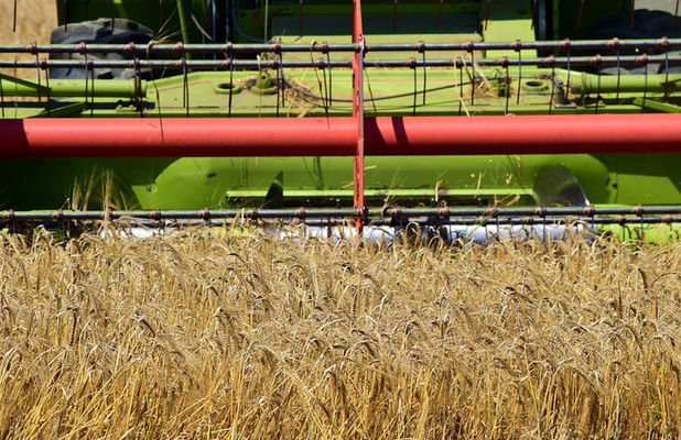 Украинские аграрии намолотили 34,5 млн т зерна