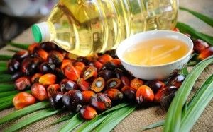 Україна різко наростила імпорт пальмової олії
