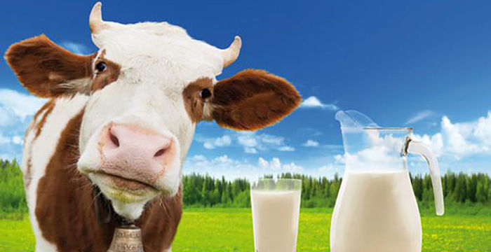 Производство молока в январе-апреле 2019 составило 2,77 млн тонн