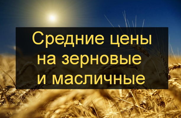 Украина: средние цены спроса на зерновые и масличные культуры (30.08 - 06.09.2018 г.)