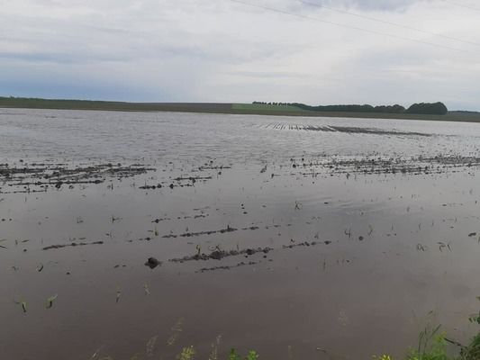Злива затопила поля на Полтавщині