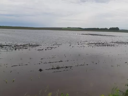 Злива затопила поля на Полтавщині