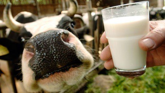 В Украине выросла реализация сырого молока