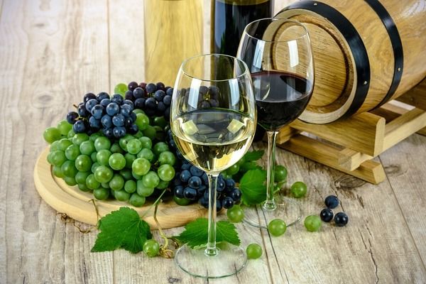 Закарпатські винороби збирають рекордний урожай