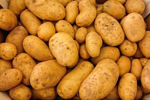 Україна вперше імпортує картоплю з Узбекистану