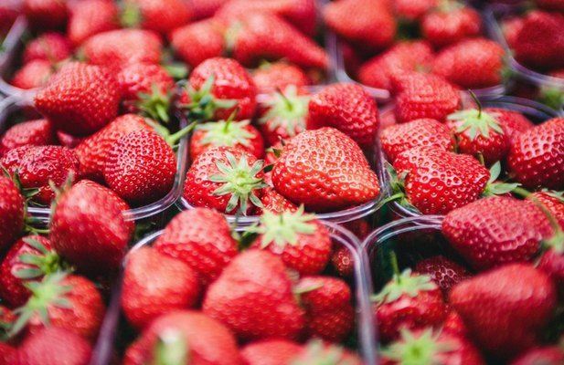 В Україні прогнозують стрімке зниження ціни на суницю садову