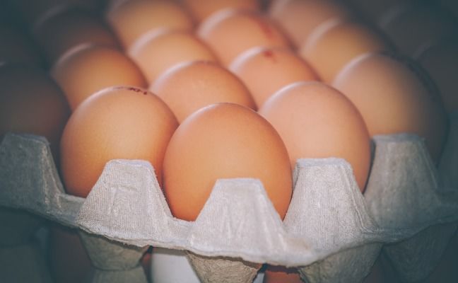 «Авангард» почав випуск рідких яєчних продуктів із додатками