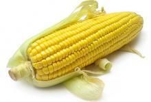 Урожай кукурудзи Укрлендфармінгу може зрости на 15%