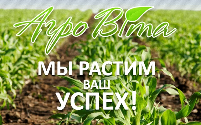 «Агро Вита» вывела на рынок Украины новый гибрид кукурузы
