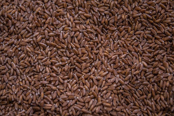 Аграрный фонд получит 5,7 млн грн возмещения за недопоставленное зерно