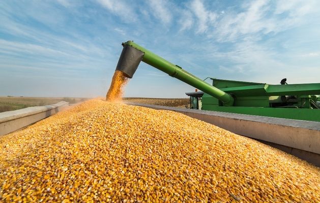 Агроекспорт в Україні зріс на 18,6% – Ольга Трофімцева