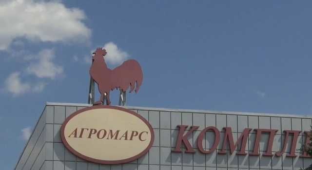 Держексперти визнали діяльність «Агромарса» безпечною для екології Київщини