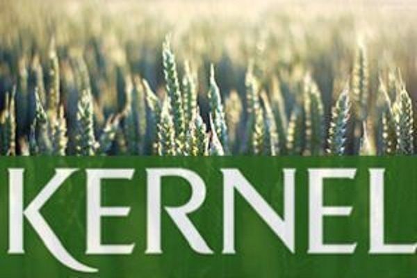 Кернел за 6 месяцев 2017 ФГ увеличил экспорт зерновых на 21%