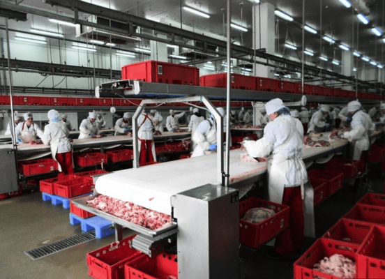 Дания построит в Украине мясоперерабатывающий завод