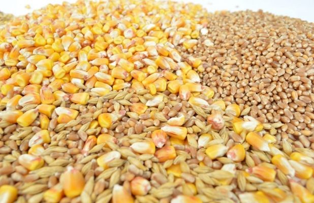 Экспорт украинского зерна перевалил за 47 млн т