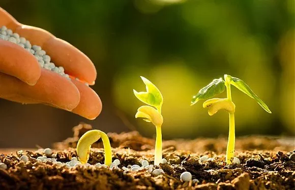 Аграрії забезбечені добривами на 78%.