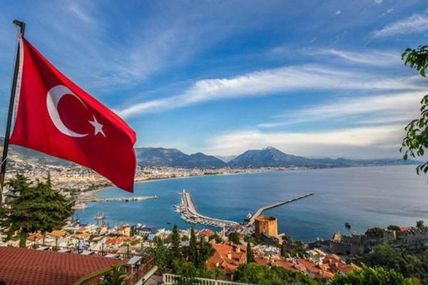 Турция наращивает импорт сои
