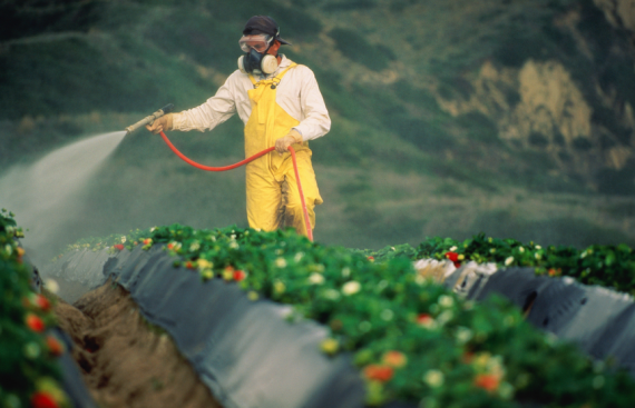 Україна знизила імпорт пестицидів