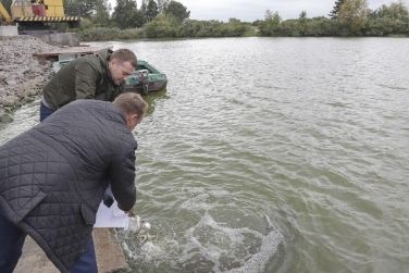 Вперше за 7 років відбулося зариблення Київського водосховища