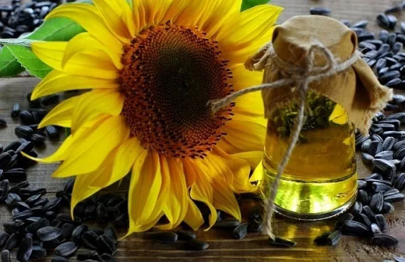 У ViОil стартує виробництво високоолеїнової соняшникової олії
