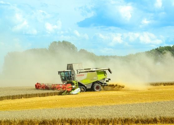 Ukrlandfarming очікує на високий врожай озимих