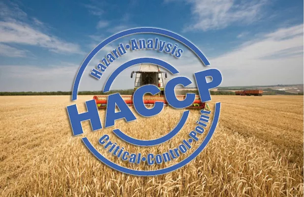 На элеваторах Госрезерва внедряется система HACCP