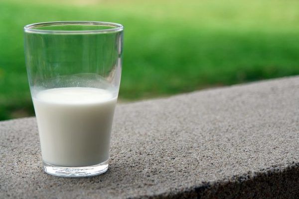 Зміна клімату впливає на зменшення світового виробництва молока