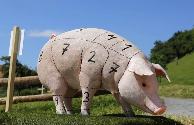 Закупочные цены на свинину пошли на спад