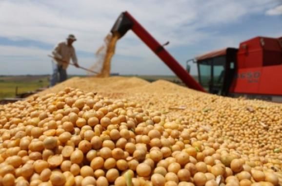 Украинские аграрии собрали 2,33 млн. тонн сои