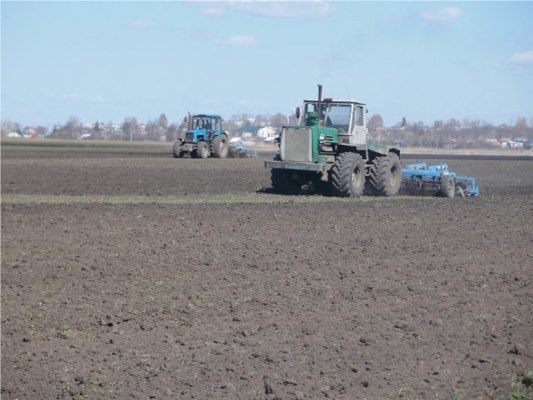 Украина. Недостаток влаги в почве приостановил сев озимых зерновых