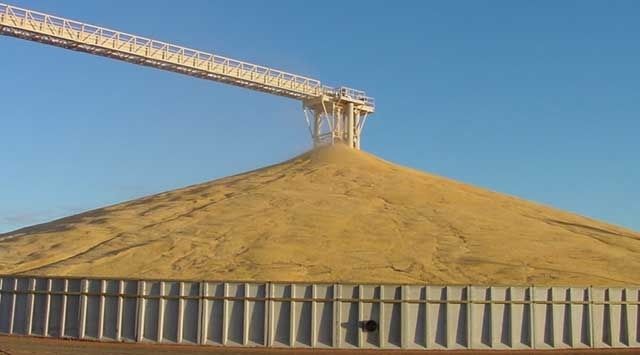 Пшеница США: Чикаго счет отчет USDA негативным