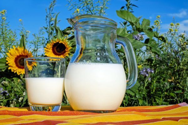 Аграрии в январе-августе продавали молоко в среднем по 7 440,3 грн/тонна