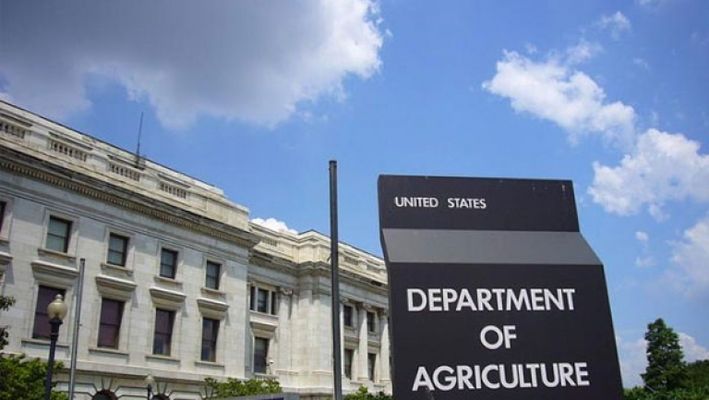 USDA снизило для Украины прогноз по пшенице и ячменю