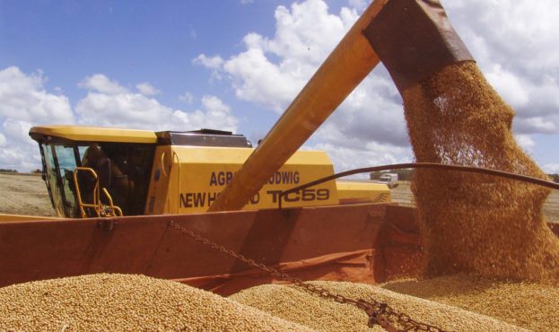 Українські аграрії встановили рекорд із експорту зернових – 50,4 млн тонн за рік